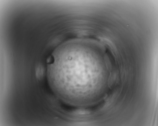 X0000088650123200706011228