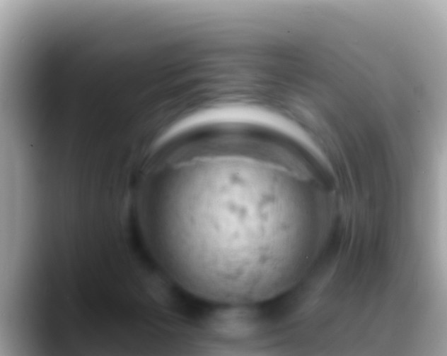 X0000088650125200706011228