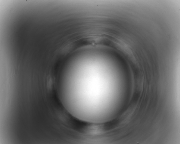 X0000088650126200706011228