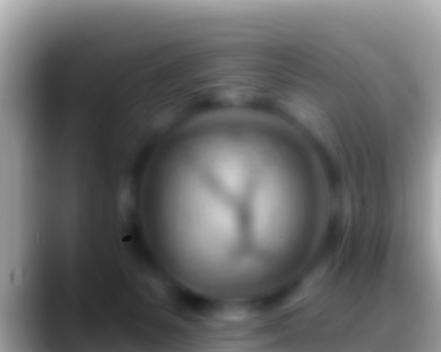 X0000088650127200706011228