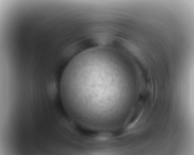 X0000088650128200706011228