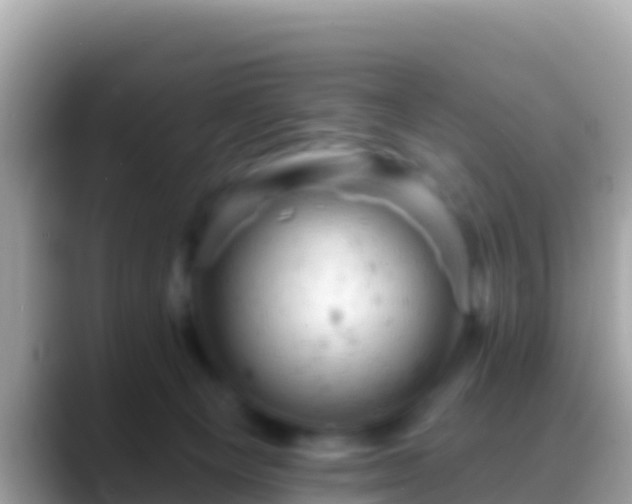 X0000088650129200706011228