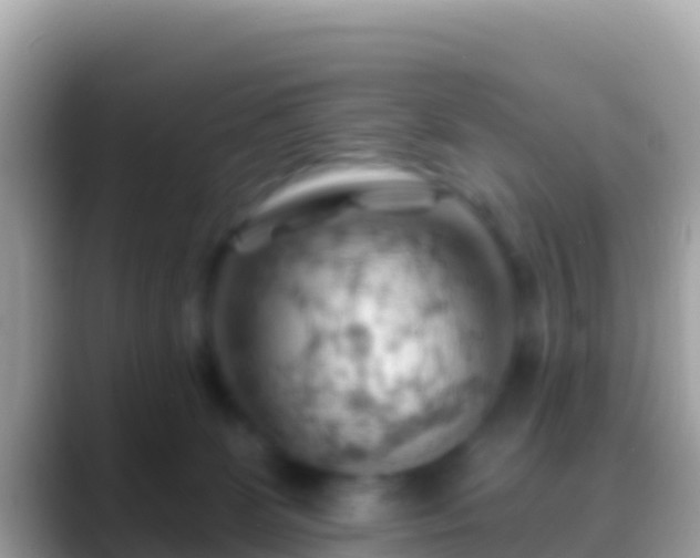 X0000088650131200706011228