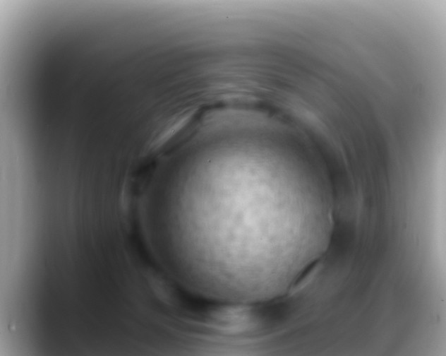 X0000088650132200706011228