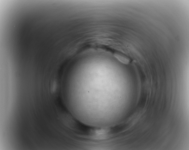 X0000088650134200706011228