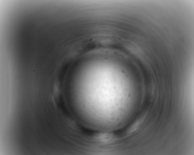 X0000088650135200706011228