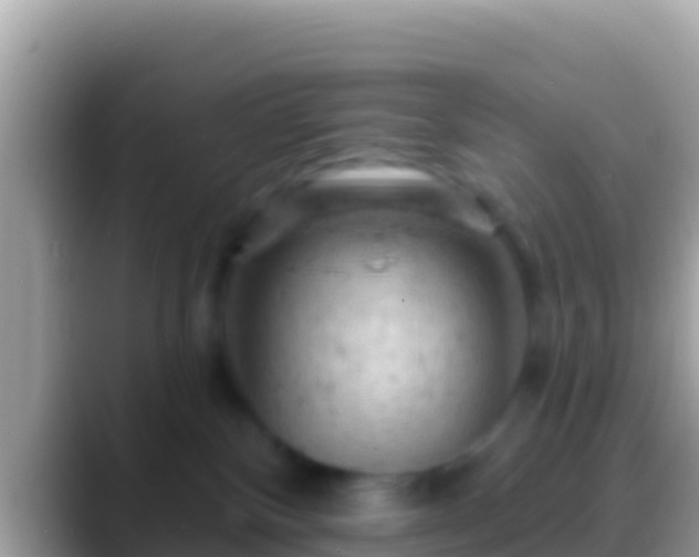 X0000088650136200706011228