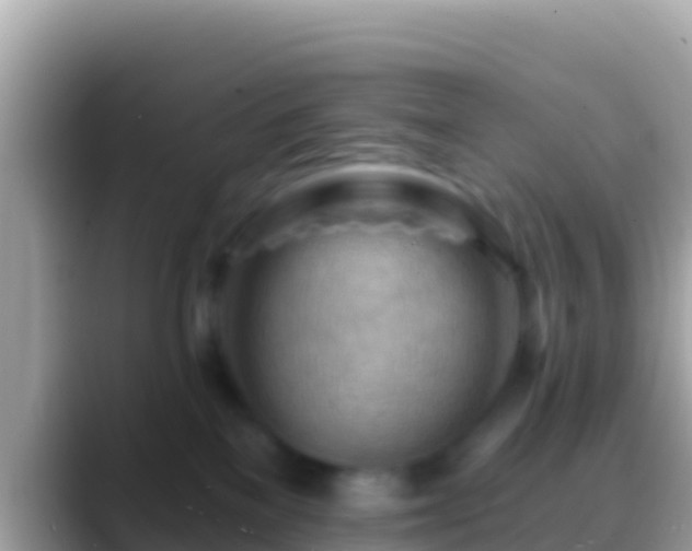 X0000088650137200706011228