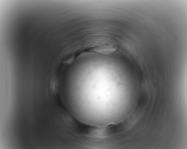 X0000088650138200706011228