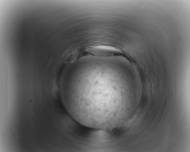 X0000088650140200706011228