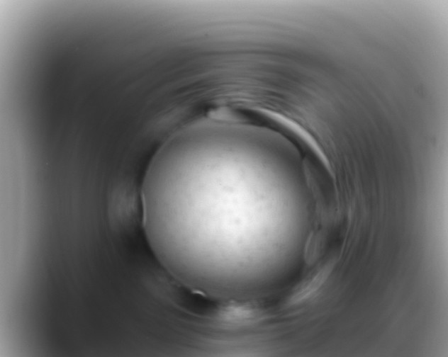 X0000088650141200706011228