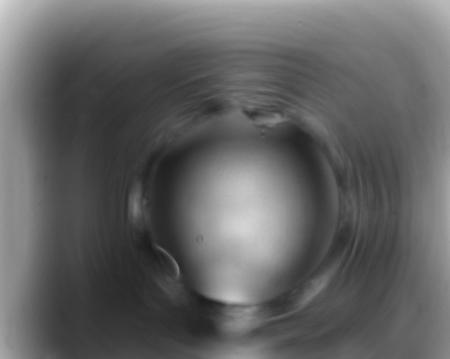 X0000088650143200706011228