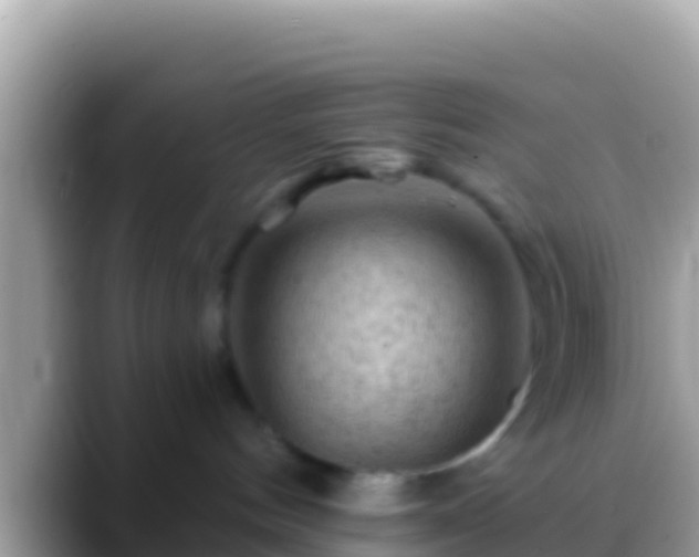 X0000088650144200706011228