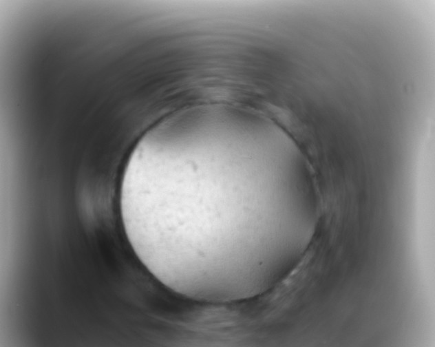 X0000088650146200706011227