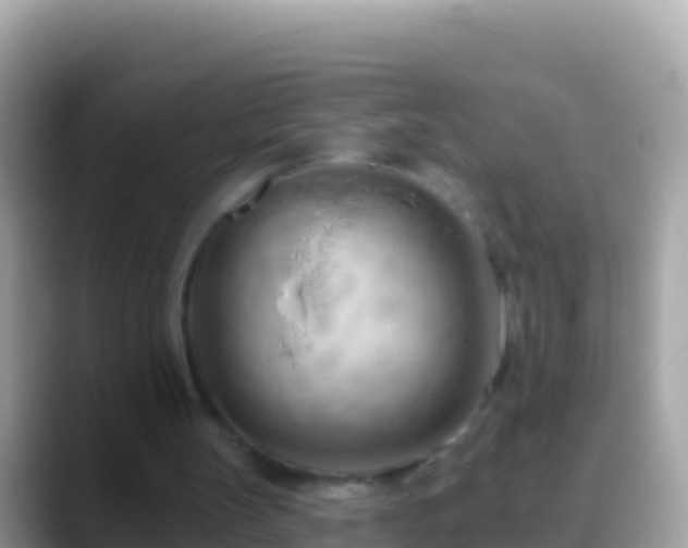 X0000088650147200706011227