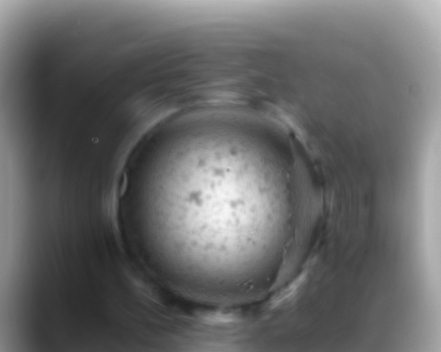 X0000088650148200706011227