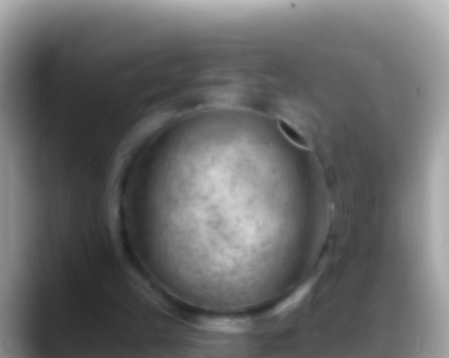 X0000088650149200706011227