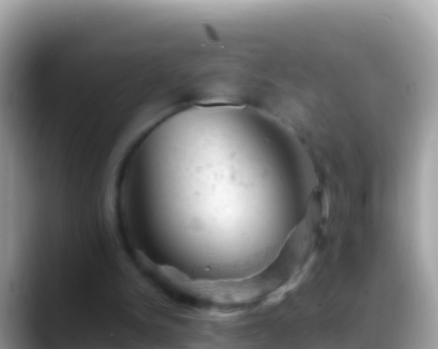 X0000088650150200706011227