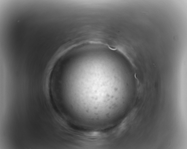 X0000088650151200706011227