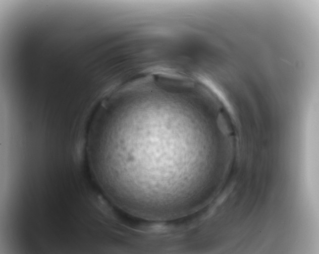 X0000088650153200706011227