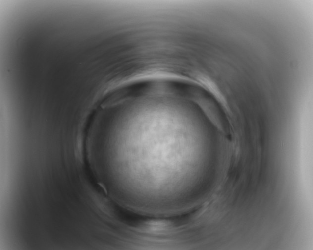 X0000088650154200706011227