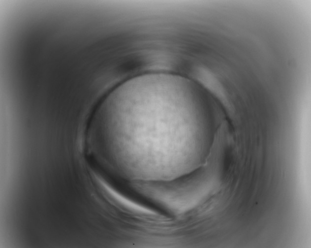 X0000088650156200706011227