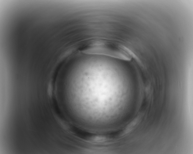 X0000088650158200706011227