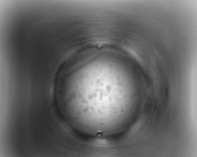 X0000088650159200706011227