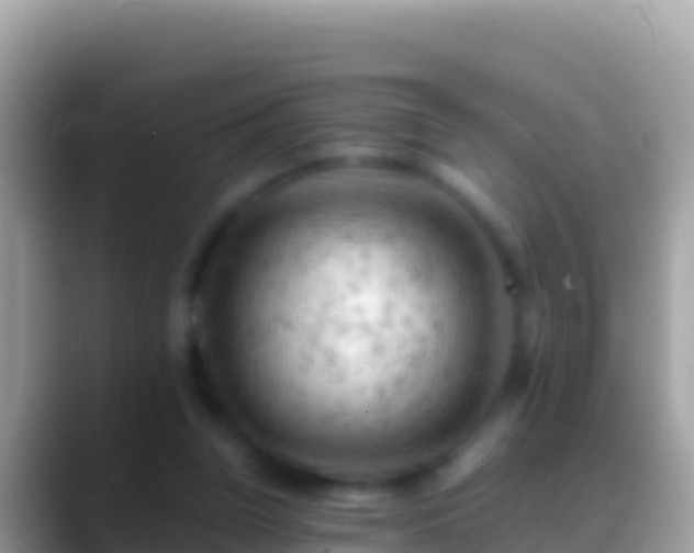 X0000088650160200706011227