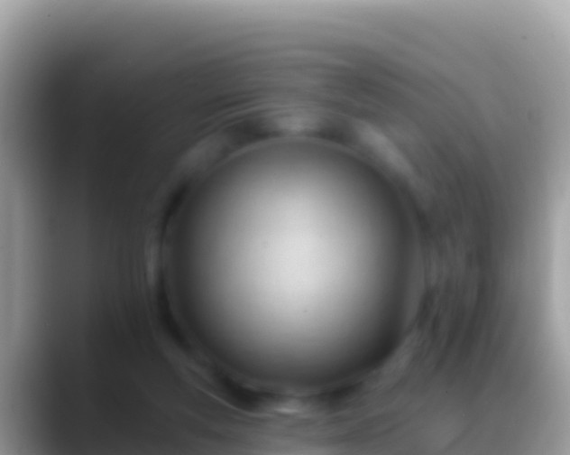 X0000088650163200706011227