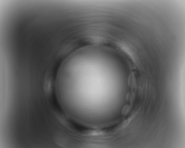 X0000088650165200706011227