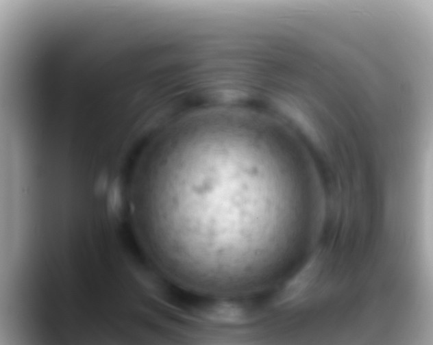 X0000088650166200706011227