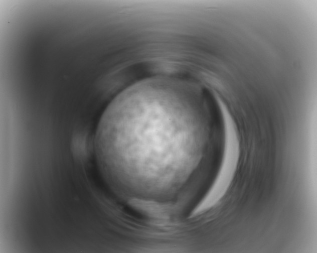 X0000088650168200706011227