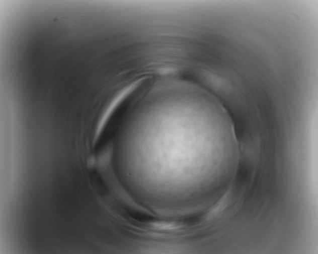 X0000088650170200706011227