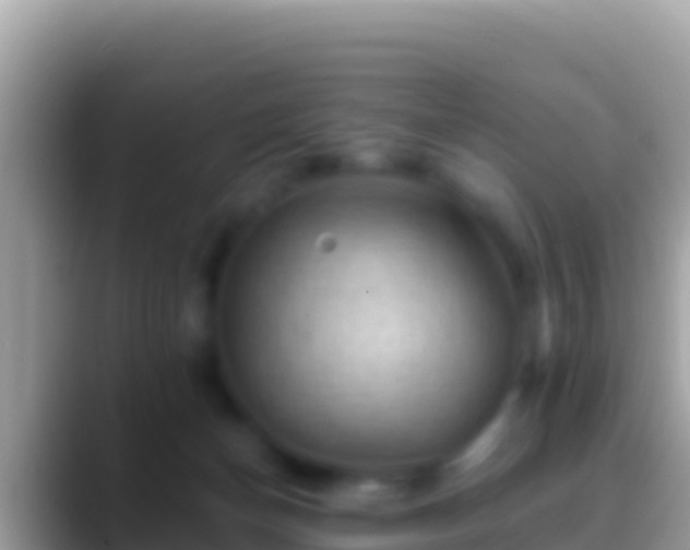 X0000088650174200706011227