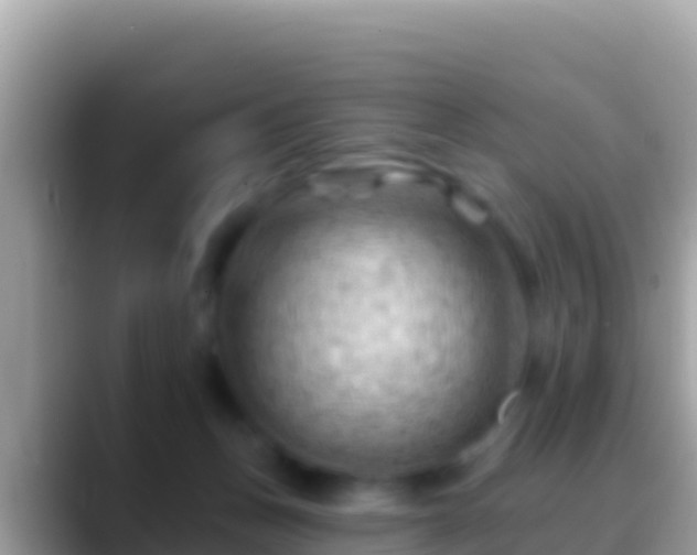 X0000088650175200706011227