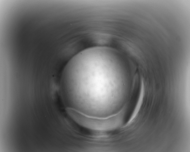 X0000088650176200706011228