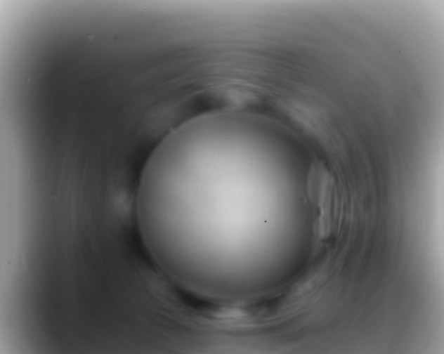 X0000088650177200706011228