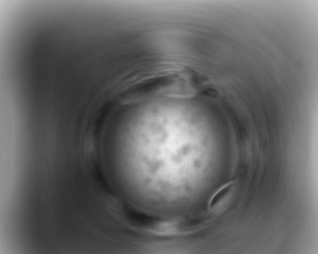 X0000088650178200706011228