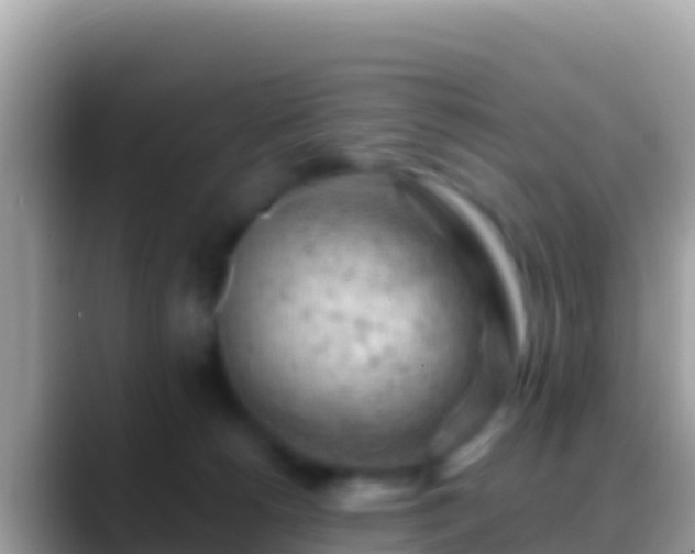 X0000088650180200706011228