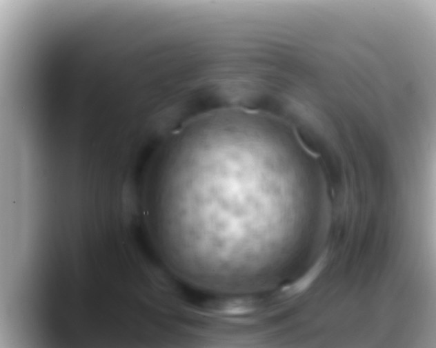 X0000088650182200706011228