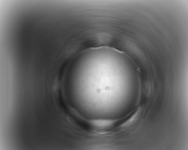 X0000088650184200706011228