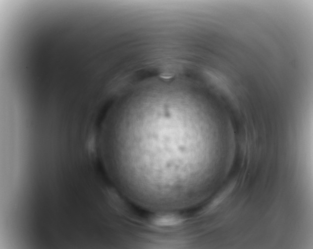 X0000088650185200706011228