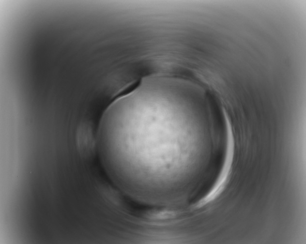 X0000088650186200706011228