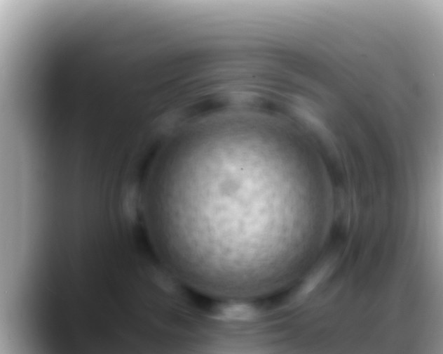 X0000088650189200706011228