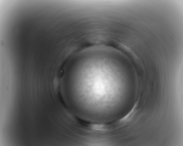 X0000088650192200706011228