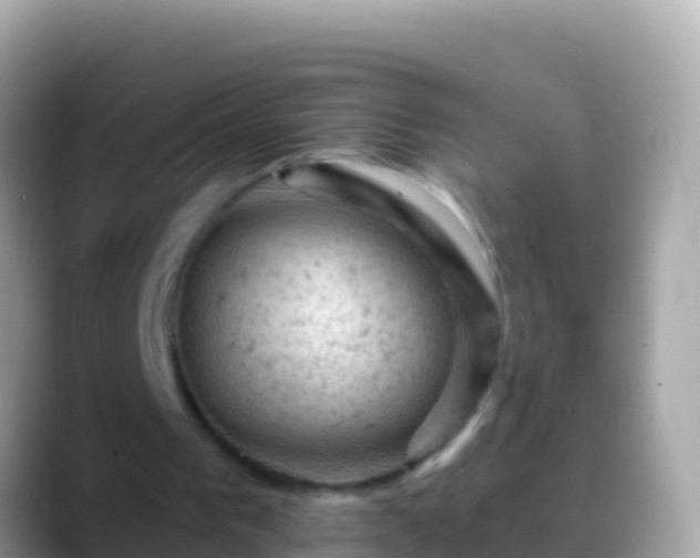 X0000088650193200706011227