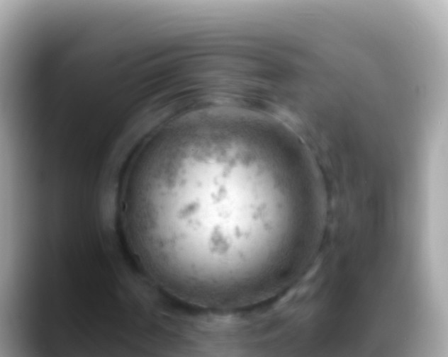 X0000088650194200706011227