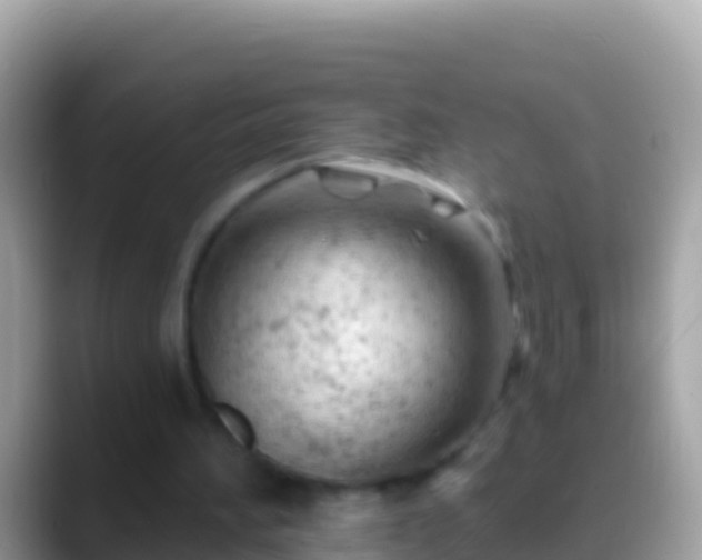 X0000088650196200706011227