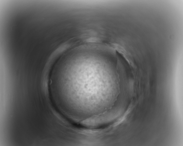 X0000088650197200706011227